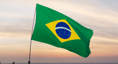 brazilian-flag-composition