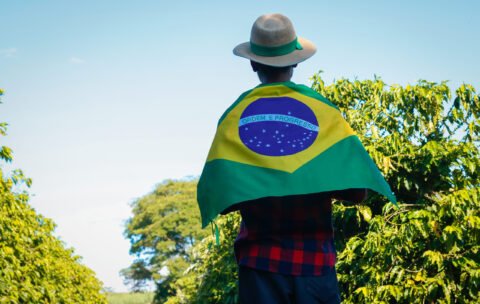 Farmer at coffee plantation holding Brazilian flag
