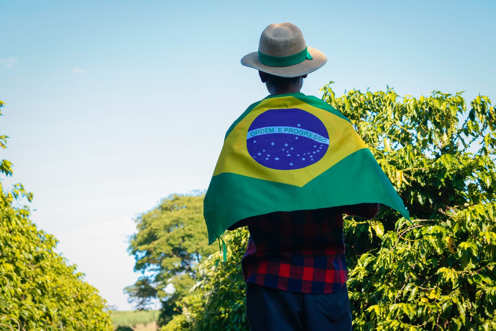 [Workshop] Never Forget +10 Brazilian Portuguese Idioms in Just 2 Hours (Wednesday, 28 de janeiro, 3:30 pm EST)