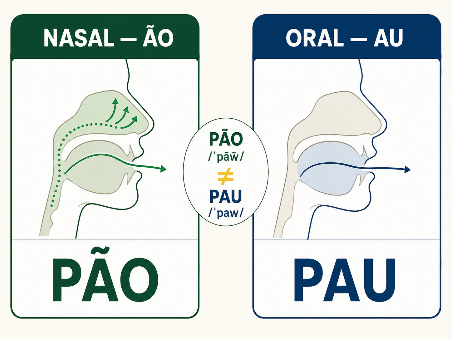 Diagram comparing nasal airflow in Portuguese ão with oral airflow in au